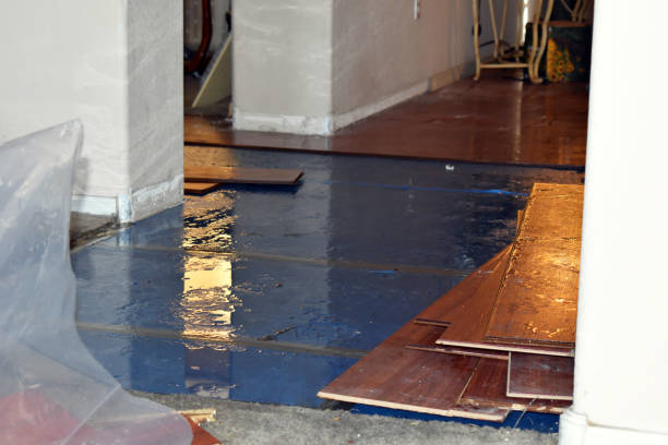 Professional Water Damage technician working in Hollis Center, ME